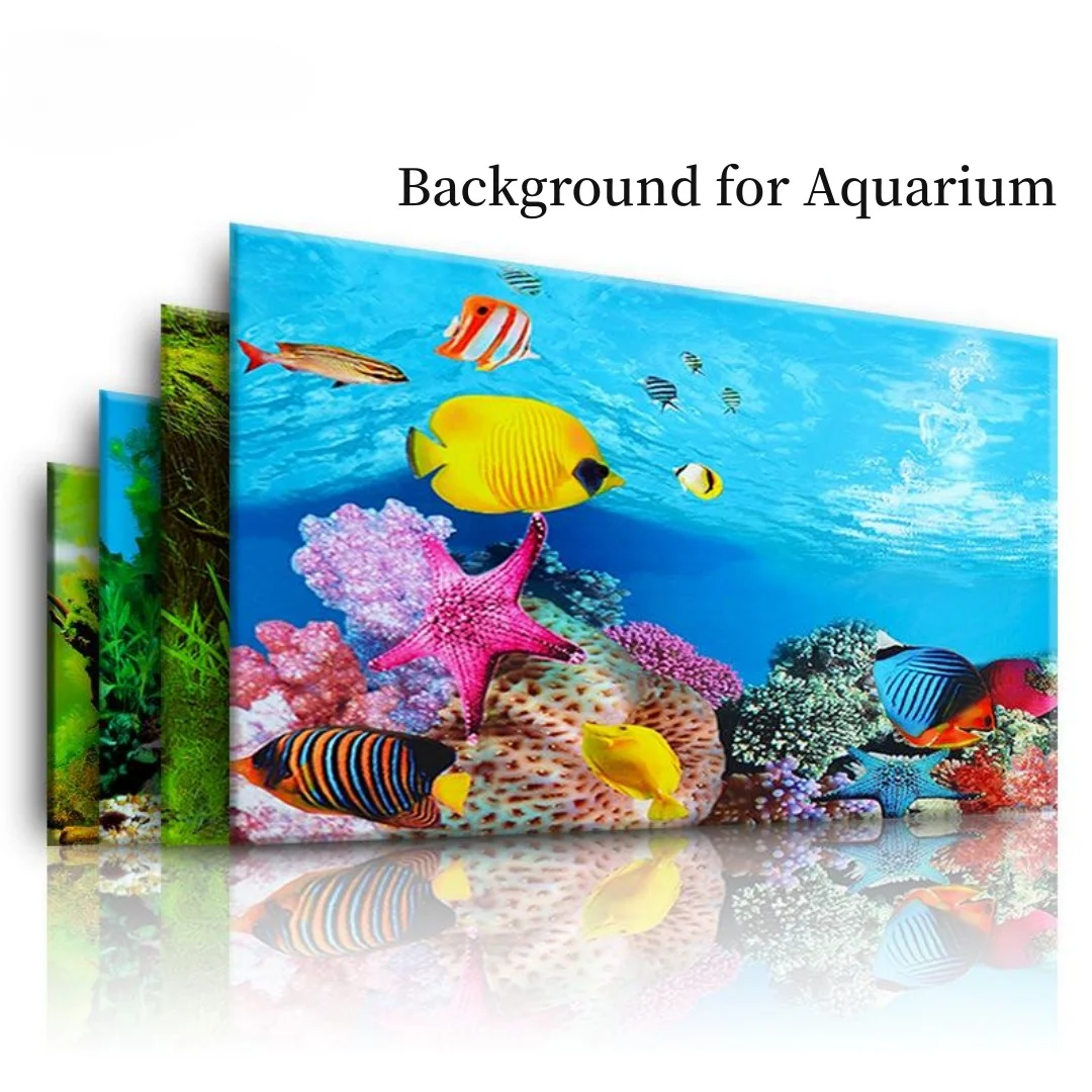 Aquarium Fish Enrichment - 배경 수족관 3D 스티커 포스터 장식,