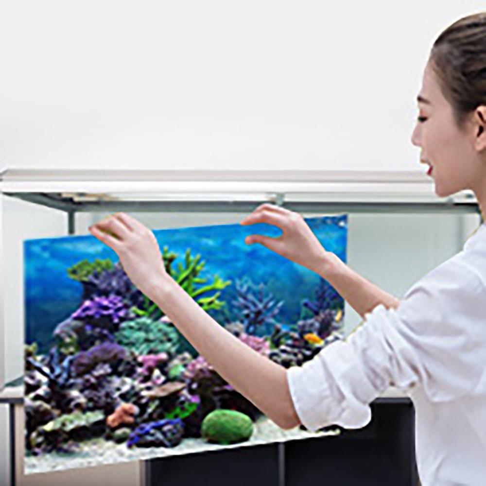 Aquarium Fish Poster - PVC 수족관 배경 포스터 접착식 두꺼운