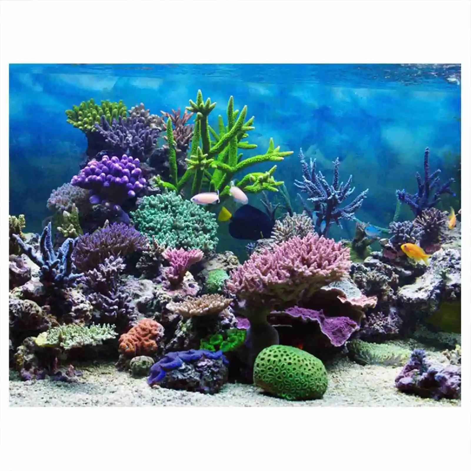 Aquarium Fish Poster - 3D 수족관 풍경 포스터 벽지, 열대우림