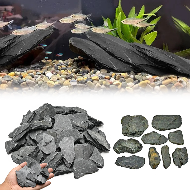 500/1000g 어항 조경석 키트 슬레이트 석재 테라 - Aquarium Fish Land 리뷰 및 가격