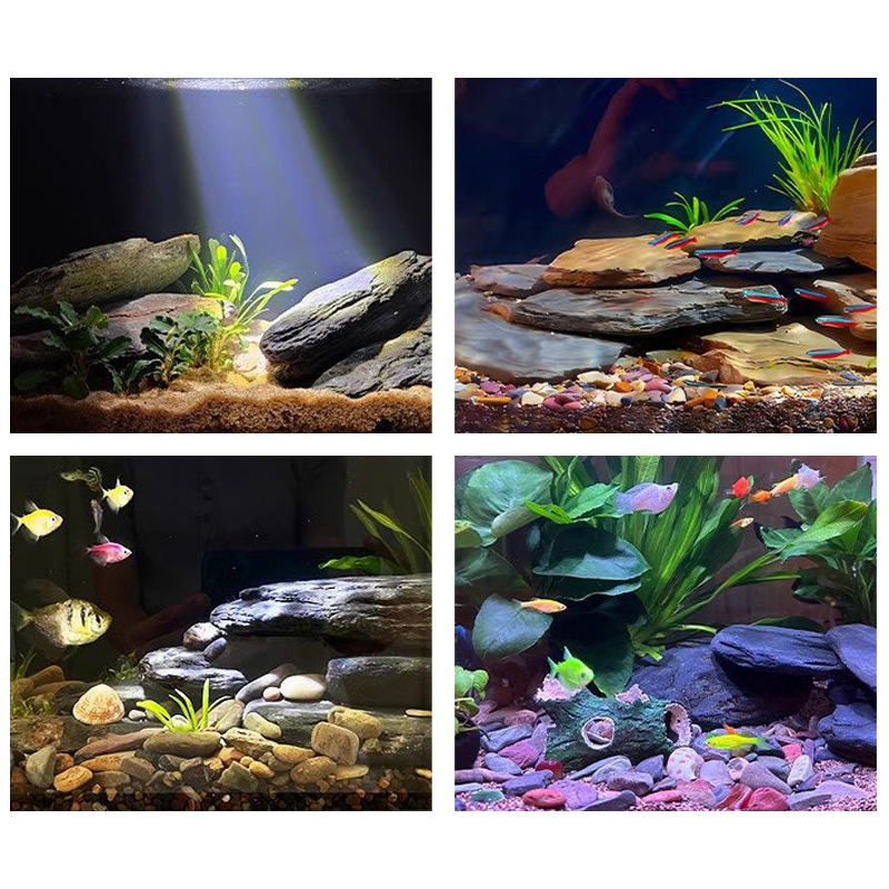 500/1000g 어항 조경석 키트 슬레이트 석재 테라 - Aquarium Fish Land 리뷰 및 가격