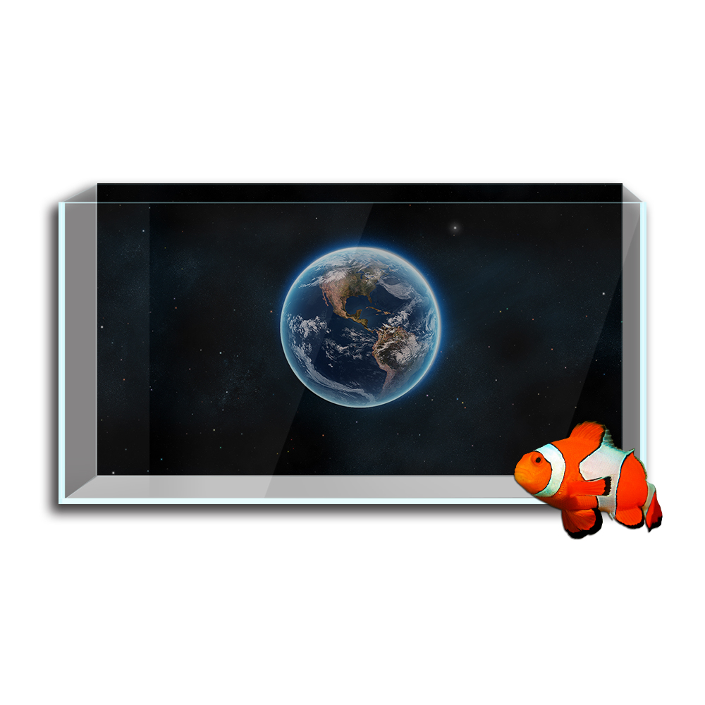 수족관 물고기 탱크 배경 스티커, 지구 행성 공간 HD - Aquarium Fish Poster 리뷰 및 가격