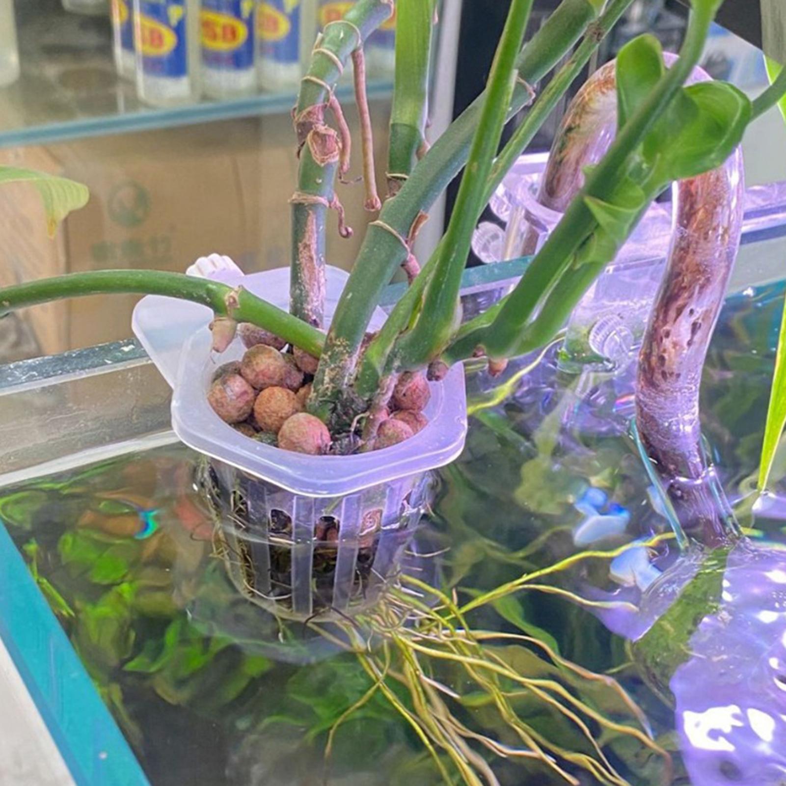 수경재배 식물 걸이형 홀더 어항 식물 재배컵 2개 수생 - Aquarium Fish Elevator 리뷰 및 가격