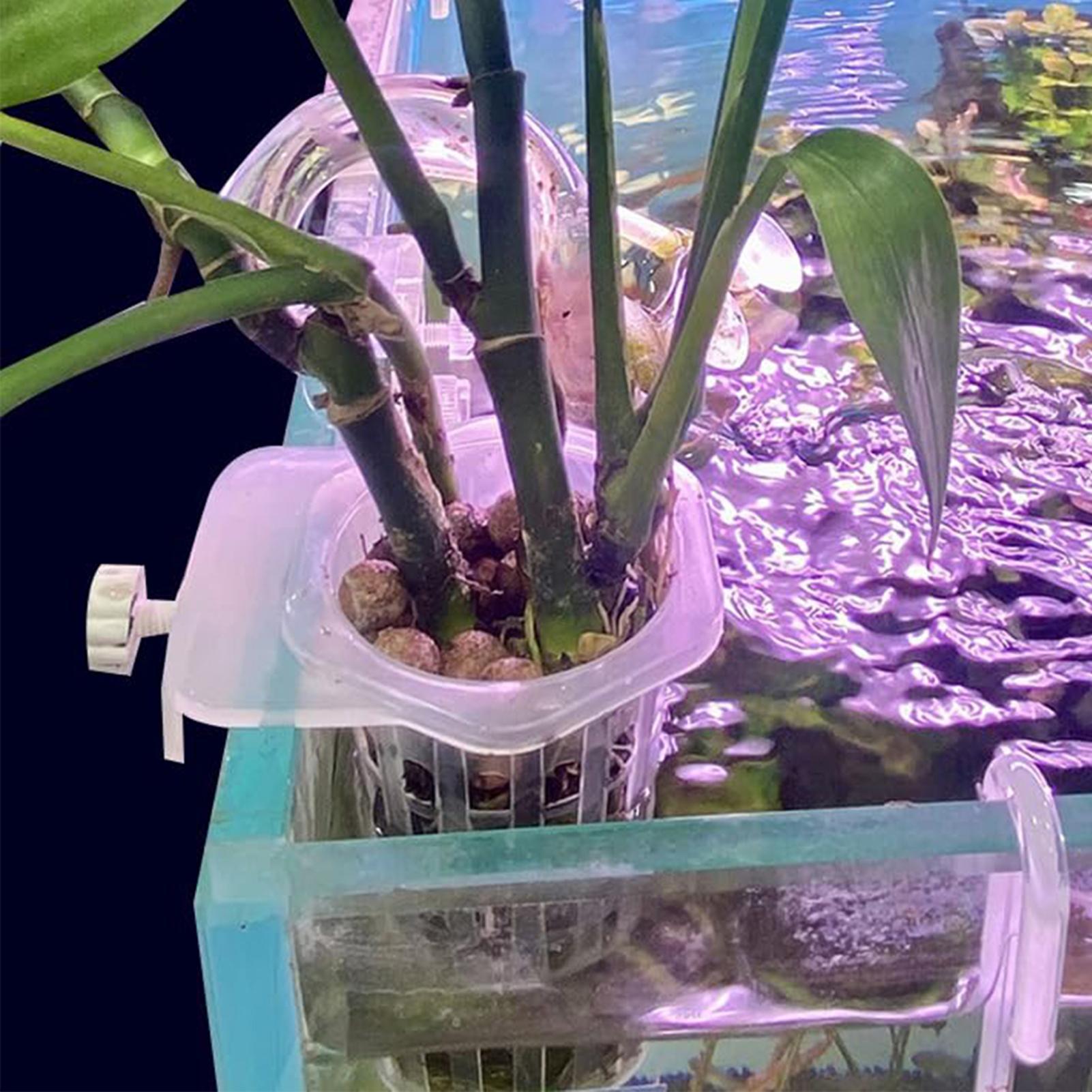 수경재배 식물 걸이형 홀더 어항 식물 재배컵 2개 수생 - Aquarium Fish Elevator 리뷰 및 가격