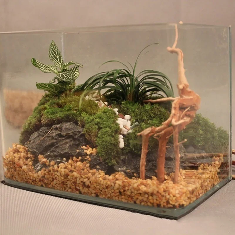 천연 나무 줄기 유목 수족관 어항, 파충류 실린더 뿌리 - Aquarium Fish Enrichment 리뷰 및 가격