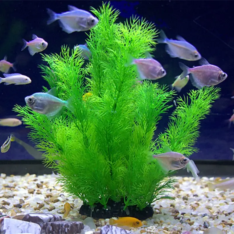 인공 수족관 장식 식물 수중 물 잔디 수족관 장식을위한 - Aquarium Fish Enrichment 리뷰 및 가격