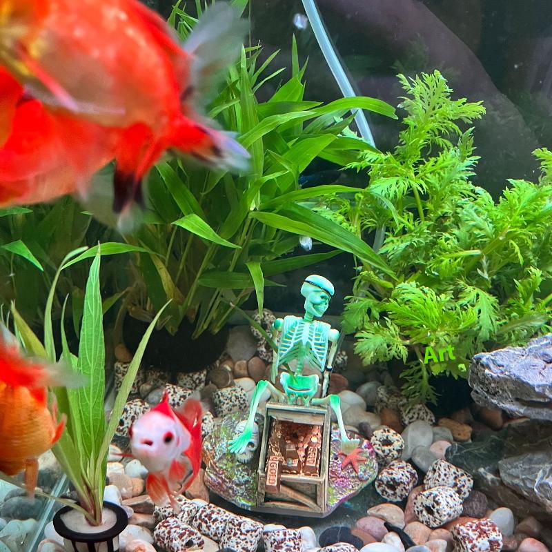어항 에어로빅 랜드스케이프 버블 에어 펌프 재미있는 어 - Aquarium Fish Enrichment 리뷰 및 가격