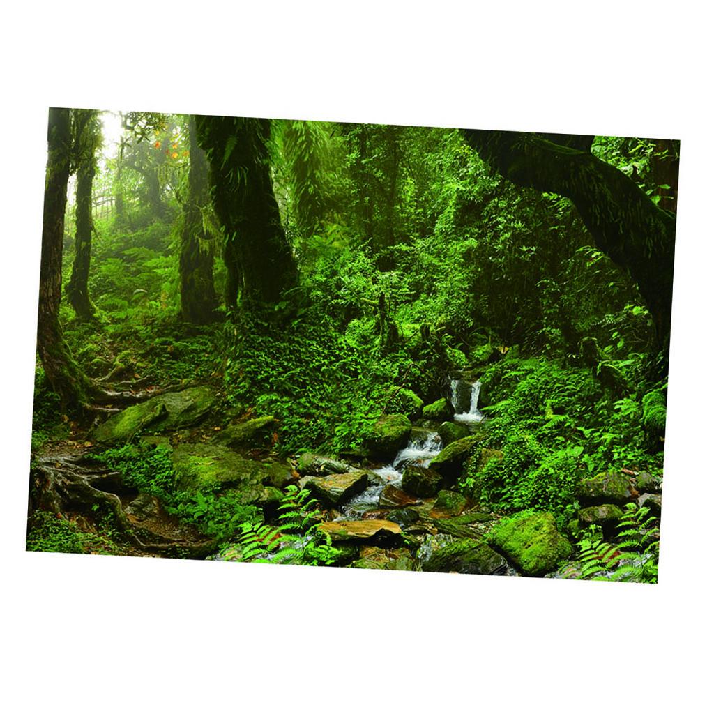 수족관 배경 포스터 생생한 색상 자체 접착 PVC 물고 - Aquarium Fish Poster 리뷰 및 가격