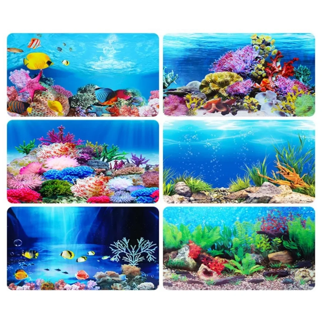 배경 수족관 3D 스티커 포스터 장식, 어항 해양 식물 - Aquarium Fish Enrichment 리뷰 및 가격