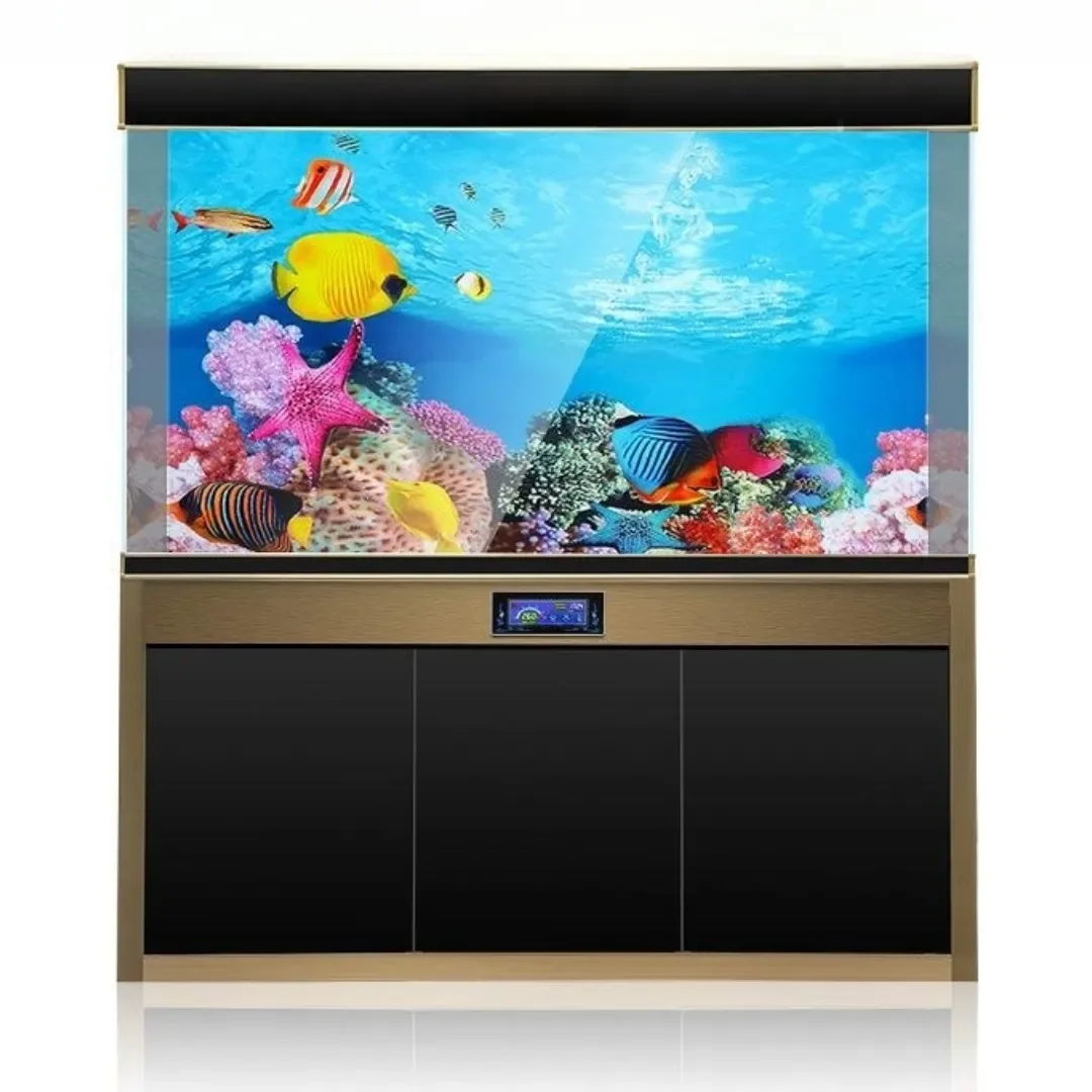 배경 수족관 3D 스티커 포스터 장식, 어항 해양 식물 - Aquarium Fish Enrichment 리뷰 및 가격