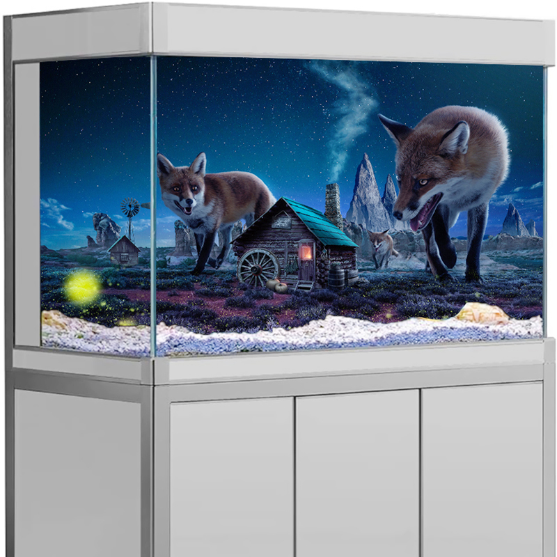 수족관 배경 스티커 신비로운 여우 및 북극광 뷰 포스터 - Aquarium Fish Poster 리뷰 및 가격