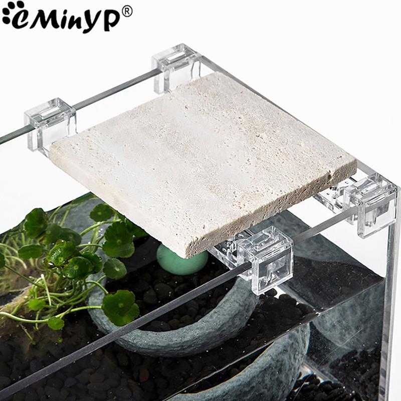 5.5mm ~ 15mm 벽 두께에 대 한 4Pcs 물고 - Aquarium Fish Elevator 리뷰 및 가격
