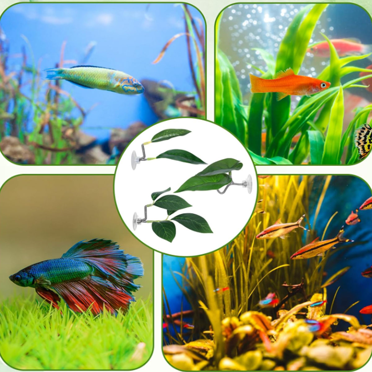 1 PC 베타 물고기 해먹 부드러운 수족관 장식 플라스 - Aquarium Fish Enrichment 리뷰 및 가격