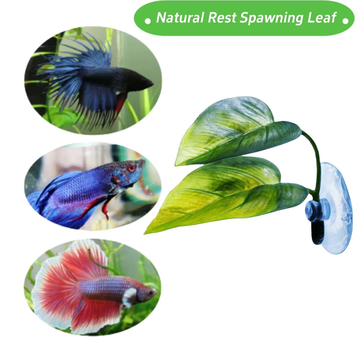 애완동물 어항 장식 베타 휴식 놀이 식물 잎 수족관 장 - Aquarium Fish Enrichment 리뷰 및 가격