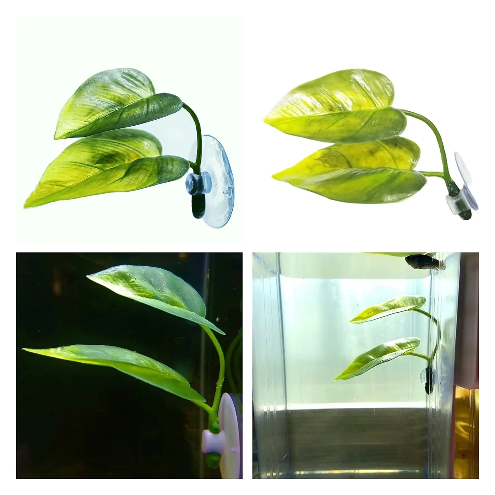 애완동물 어항 장식 베타 휴식 놀이 식물 잎 수족관 장 - Aquarium Fish Enrichment 리뷰 및 가격