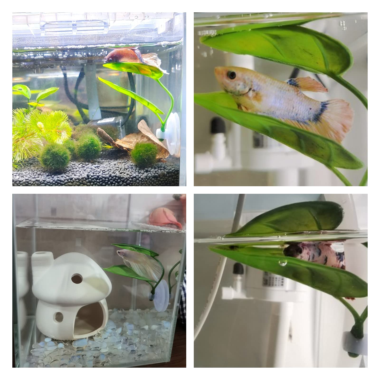 애완동물 어항 장식 베타 휴식 놀이 식물 잎 수족관 장 - Aquarium Fish Enrichment 리뷰 및 가격