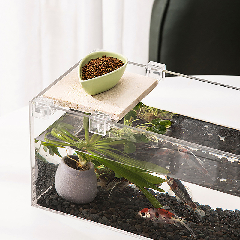4pcs 6mm/8mm/10mm/12mm/15mm 물고 - Aquarium Fish Elevator 리뷰 및 가격