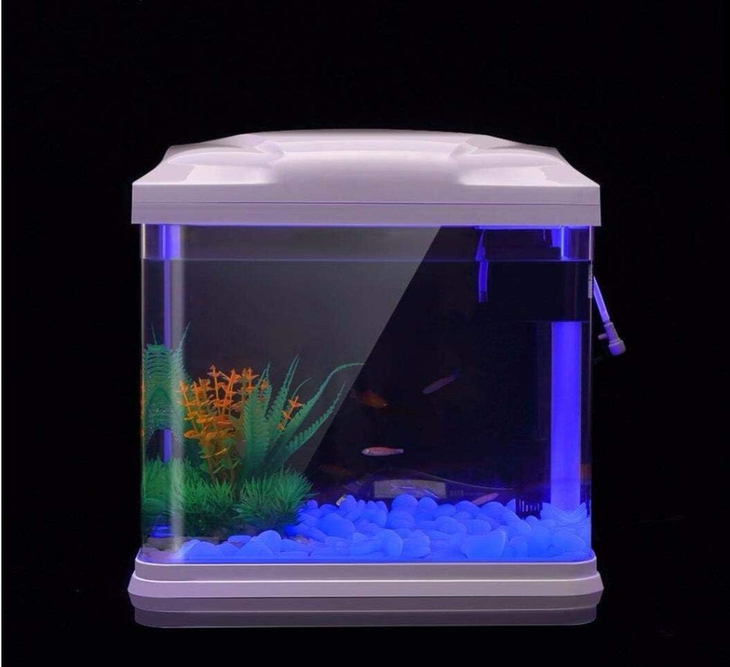 물고기 탱크 바위 정원 물고기 탱크 수족관 식물 냄비  - Aquarium Fish Land 리뷰 및 가격