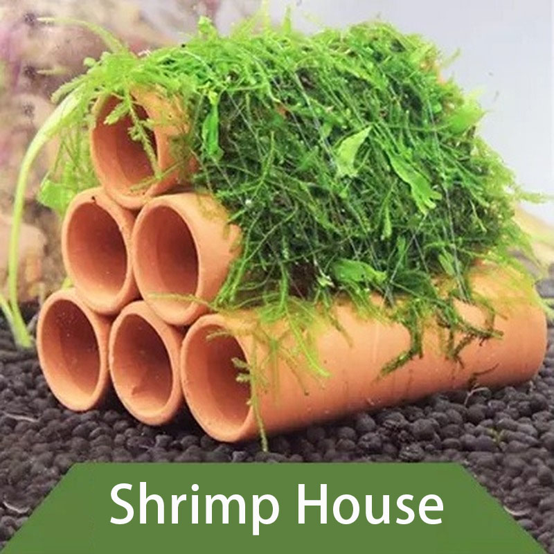 점토 수족관 장식 물고기 새우 놀이 숨어있는 동굴 대피 - Aquarium Fish Enrichment 리뷰 및 가격
