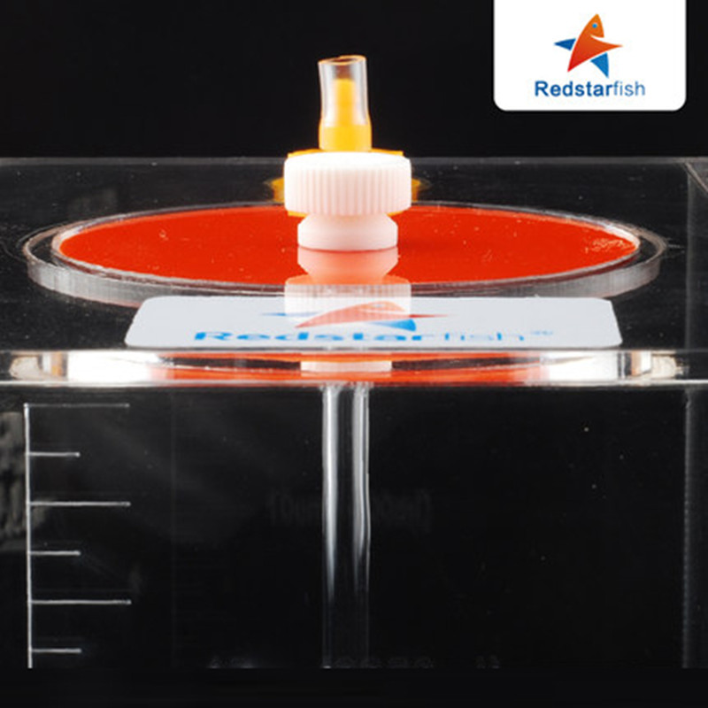 레드 불가사리 도징 펌프 스케일 액체 저장 버킷 스케일 - Aquarium Auto Top Off 리뷰 및 가격