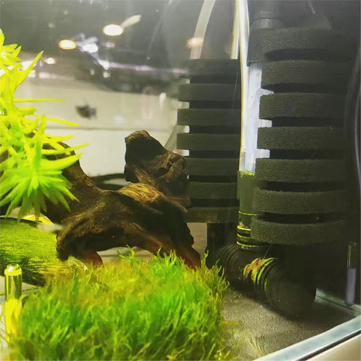 【필수품목】 수족관용 필터, 어항용 에어펌프 스키머,  - Aquarium Fish List 리뷰 및 가격