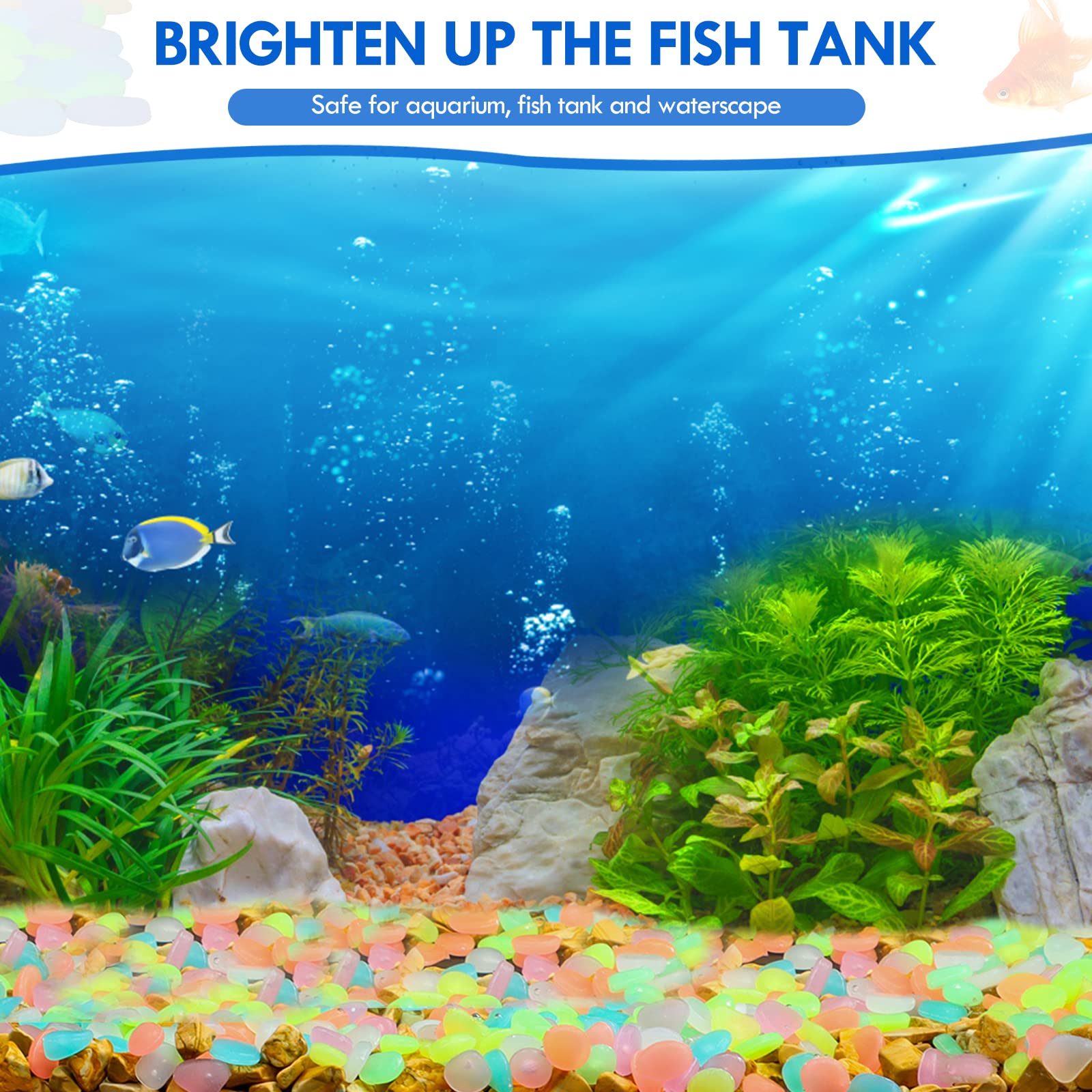 100Pcs 보도 정원 테라스 잔디 정원 파티오 물고기 - Aquarium Fish Land 리뷰 및 가격