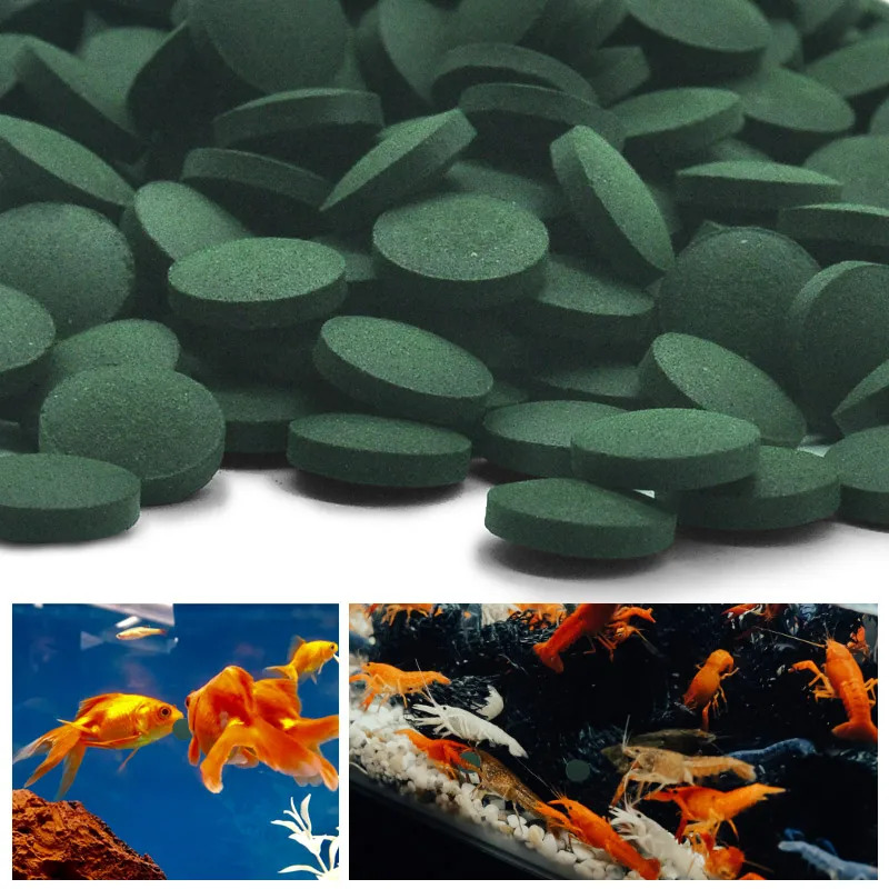 100-1500개 고순도 스피룰리나 정제 스피룰리나 해 - Aquarium Fish Enrichment 리뷰 및 가격