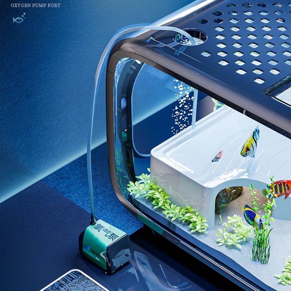 투명 고급 어항, 내구성 좋은 거실 장식, 소형 금붕어 - Aquarium Fish Enrichment 리뷰 및 가격