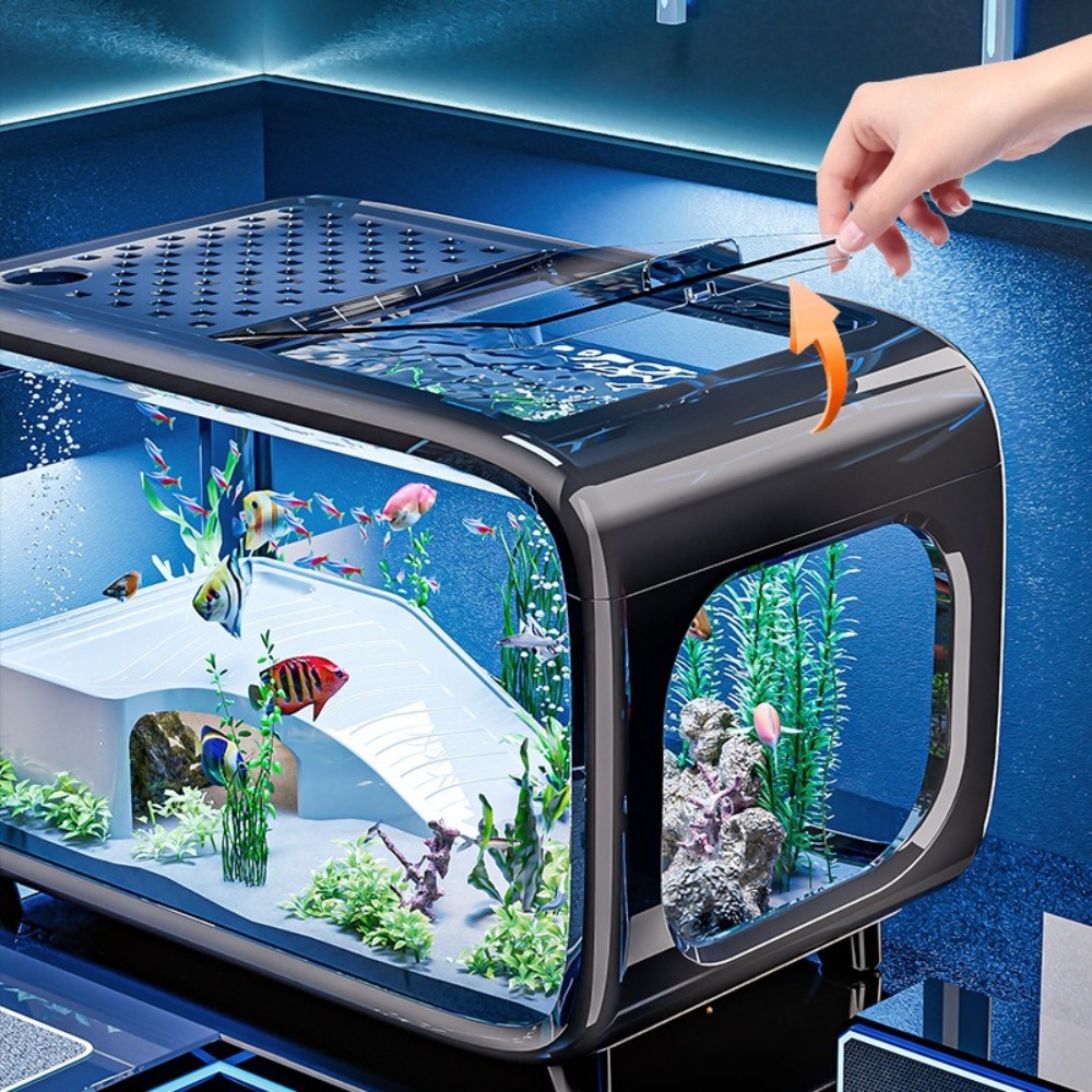 투명 고급 어항, 내구성 좋은 거실 장식, 소형 금붕어 - Aquarium Fish Enrichment 리뷰 및 가격